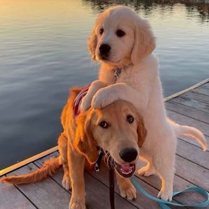 啊〜用力〜嗯〜轻一点国产
