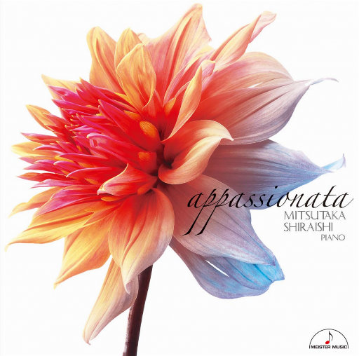 啊〜用力〜嗯〜轻一点国产
